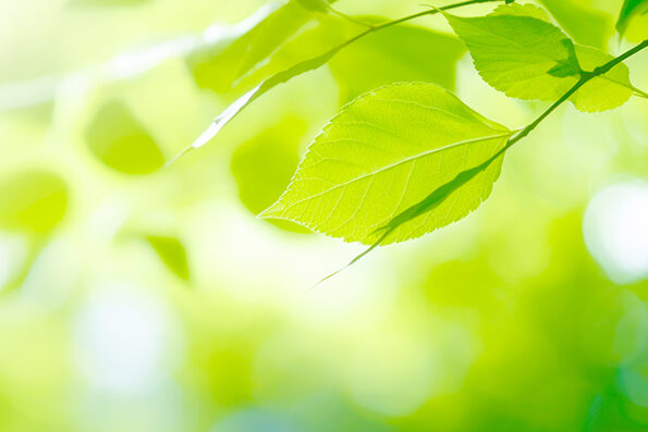 休診のお知らせ｜北海道滝川市にかいどうメンタルクリニックの画像